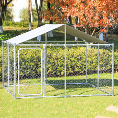 Arielle 4 dog galvanized steel yard kennel best sale